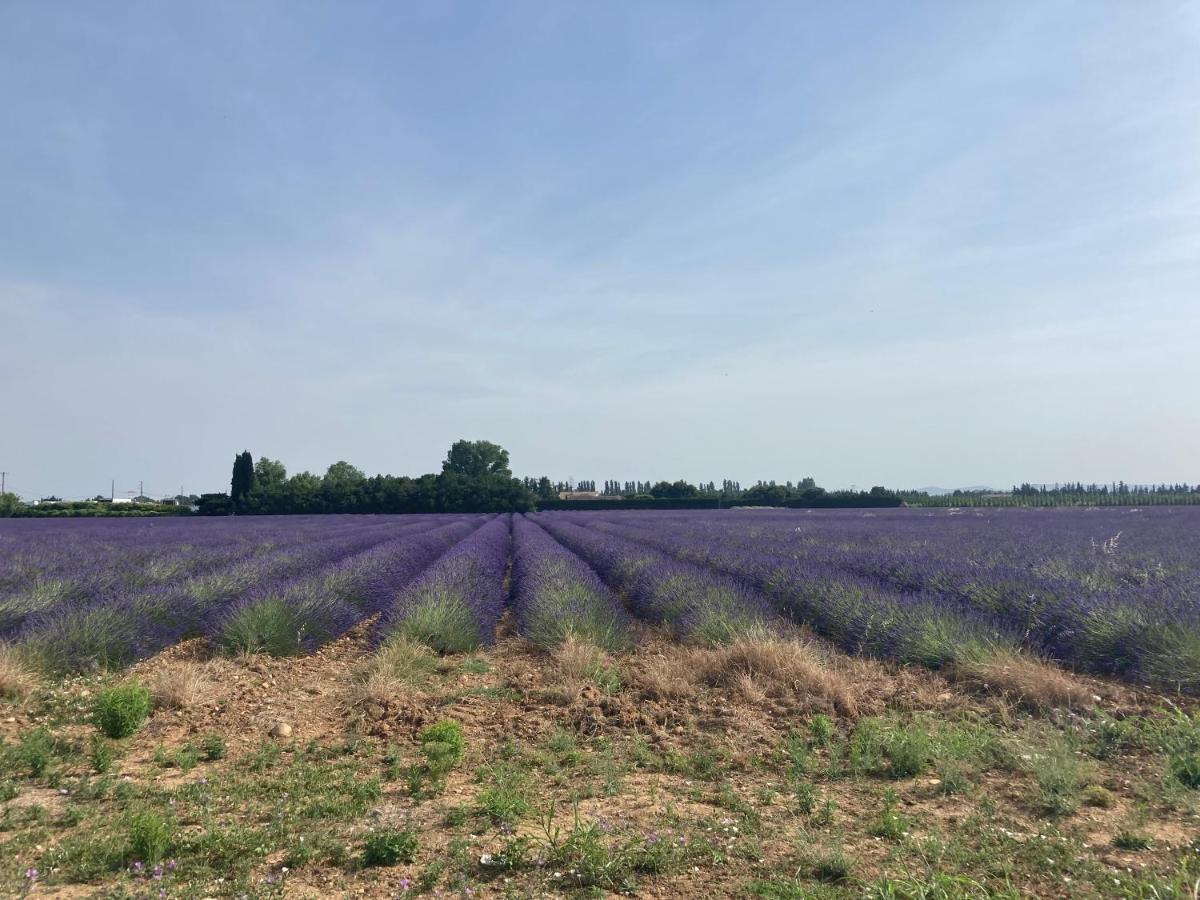 La Petite Maison En Pierres Gras Zewnętrze zdjęcie